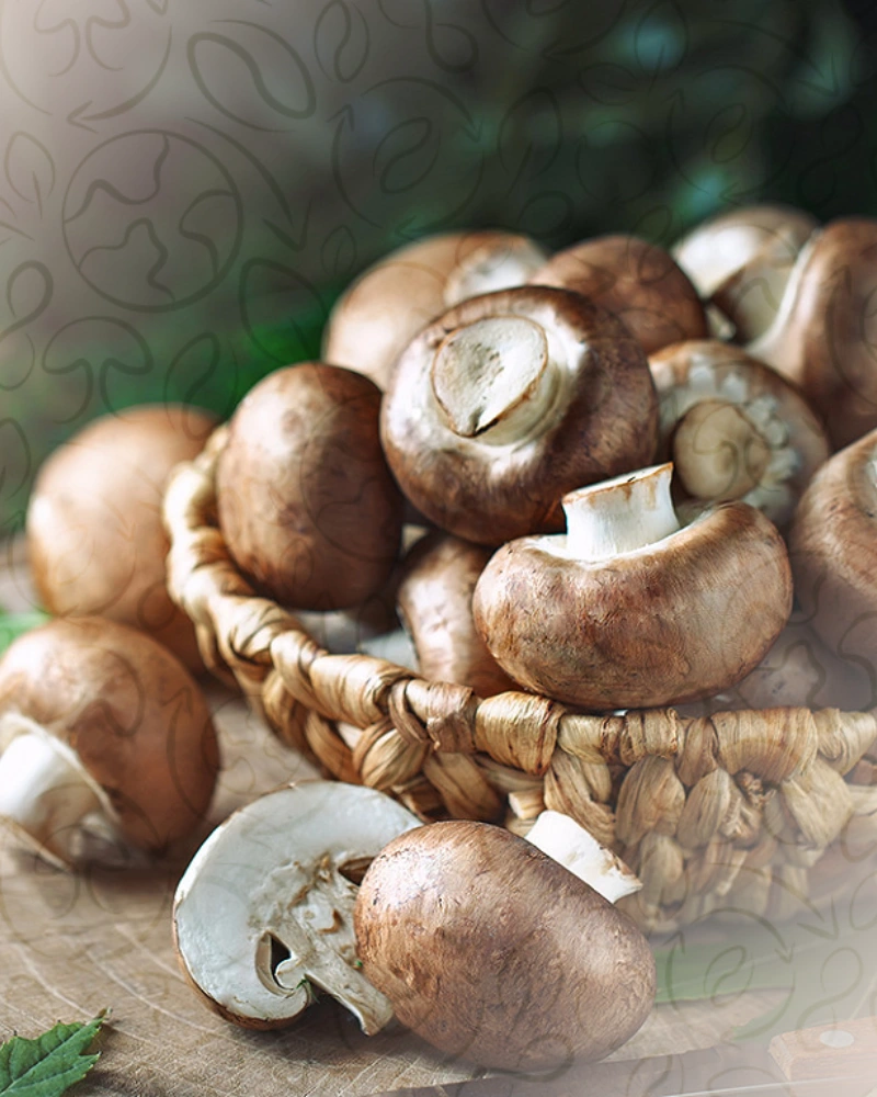 Champignons de Paris marrons